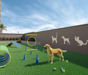Perspectiva do Pet Place